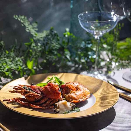 ＤＵＣＬＡＳＳ　ＯＳＡＫＡ　デュクラス大阪：《おもてなし重視派》口コミ高評価◎試食×選べる会場×充実設備