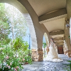 アンジェリカ・ノートルダム ANGELICA Notre Dameのフェア画像