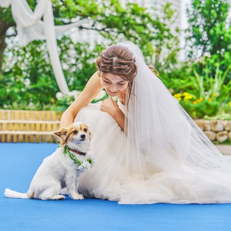 ノートルダム下関　Notre Dame SHIMONOSEKI：【ペット婚フェア】大切な家族と過ごすペット婚相談会