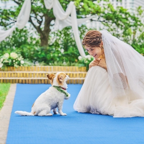 アモーレヴォレ サンマルコ（amorevole SANMARCO）：【ペット婚】リングドッグが叶う大聖堂×ガーデン×10大特典