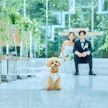 ザ・プリンス パークタワー東京:【リングドッグ×ホテル婚】愛犬と叶える上質ホテルウエディング