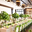 LEBAPIREO（レガピオーレ）-urban　villa　wedding-：＜気軽に相談できる♪＞少人数ウェディングフェア☆彡