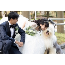 ホテルスプリングス幕張:ワンちゃんWeddingプラン