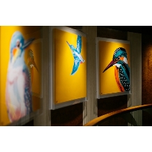 Q.E.D.CLUBのフェア画像