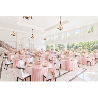 結婚式場：★星空Wedding★特別演出体験×豪華試食