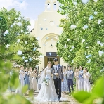 ララシャンス ベルアミーのフェア画像