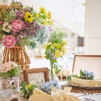 ララシャンス　博多の森のフェア画像