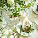 WeGreen RESORTのフェア画像