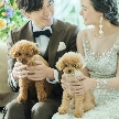 WeGreen RESORT:〈ペットと一緒の結婚式〉大切な家族と上質邸宅を貸切*美食堪能