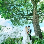 WeGreen RESORTのフェア画像