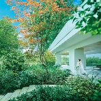 WeGreen RESORTのフェア画像