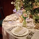 WeGreen RESORTのフェア画像