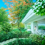 WeGreen RESORTのフェア画像