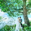 WeGreen RESORTのフェア画像