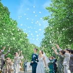 大宮璃宮のフェア画像