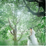 大宮璃宮のブライダルフェア画像