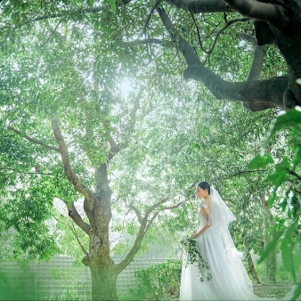 大宮璃宮のフェア画像