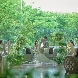 大宮璃宮のフェア画像