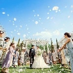 東京アフロディテのフェア画像