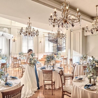 東京アフロディテのフェア画像