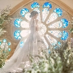 東京アフロディテのフェア画像