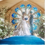 東京アフロディテのブライダルフェア画像