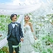 東京アフロディテのフェア画像