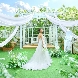 東京アフロディテのフェア画像