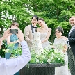 白金迎賓館 アートグレイスクラブ:【自分スタイルWedding相談会】緑×光◆新時代の結婚式×試食付