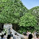 白金迎賓館 アートグレイスクラブのフェア画像