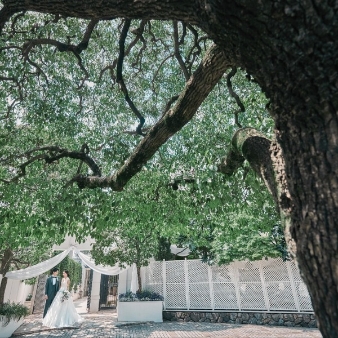 白金迎賓館 アートグレイスクラブ:【2026年7～8月限定】最大90万円優待スペシャルプラン