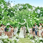 アートグレイス ウエディングコースト 大阪のフェア画像