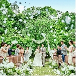 アートグレイス ウエディングコースト 大阪のブライダルフェア画像