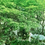 アプローズスクエア 東京迎賓館のフェア画像