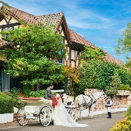 ザ・グリーンカーメル(The Green Carmel):\年イチBIG/【カプセル抽選会付】ドレス×4万美食試食