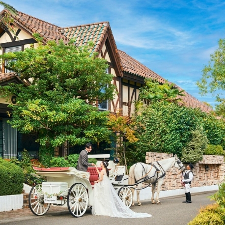 ザ・グリーンカーメル（Ｔｈｅ　Ｇｒｅｅｎ　Ｃａｒｍｅｌ）：＼年イチBIG／【カプセル抽選会付】ドレス×4万美食試食