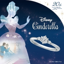 Ｌ　Ｓａｋａｅ　ＢＲＩＤＡＬ（エルサカエ）:Cinderella「You’re my Princess」