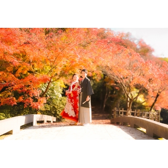 うつくしの杜　射水神社結婚式場のフェア画像