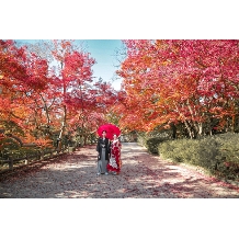 うつくしの杜　射水神社結婚式場のフェア画像