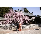 うつくしの杜　射水神社結婚式場のブライダルフェア画像
