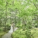 旧軽井沢礼拝堂 旧軽井沢ホテル音羽ノ森のフェア画像