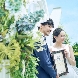指帆亭 Shihantei Pine Tree Resortのフェア画像