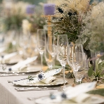 ラ・セーヌブランシュのフェア画像