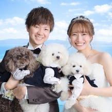 ブエナスタのフェア画像