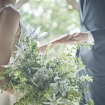 伊勢山ヒルズのフェア画像