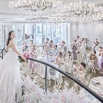 伊勢山ヒルズのフェア画像