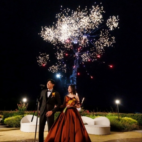 ノートルダム秋田 Notre Dame AKITA：【4/25*リニューアル】大聖堂×ガーデン*最大95万円のGWフェア！