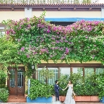 南青山ル・アンジェ教会/一軒家邸宅エトゥルスキのフェア画像