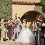 ザ・ハウス・オブ　ブランセのブライダルフェア画像