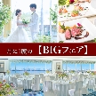東京ベイ舞浜ホテル ファーストリゾート：月1*BIGフェア【美食体験/オリジナルコーデ/演出/ドレス試着】
